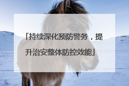 持续深化预防警务，提升治安整体防控效能