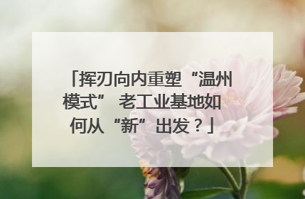 挥刃向内重塑“温州模式” 老工业基地如何从“新”出发？