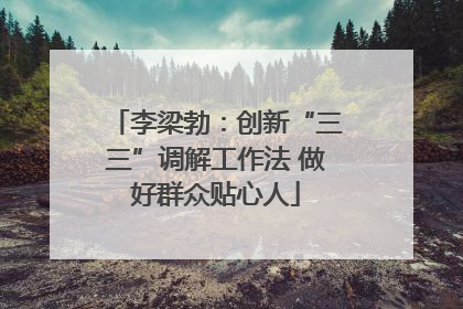 李梁勃：创新“三三”调解工作法 做好群众贴心人
