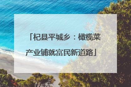 杞县平城乡：橄榄菜产业铺就富民新道路