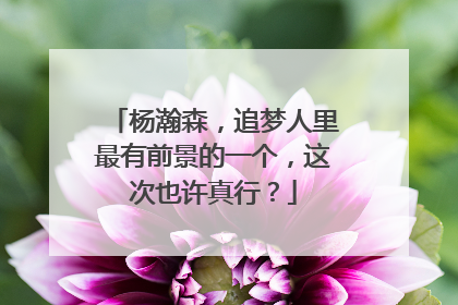 杨瀚森，追梦人里最有前景的一个，这次也许真行？