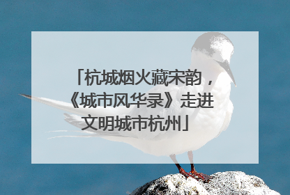 杭城烟火藏宋韵，《城市风华录》走进文明城市杭州