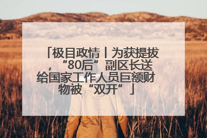 极目政情丨为获提拔，“80后”副区长送给国家工作人员巨额财物被“双开”
