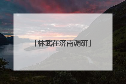 林武在济南调研