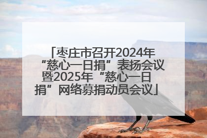 枣庄市召开2024年“慈心一日捐”表扬会议暨2025年“慈心一日捐”网络募捐动员会议