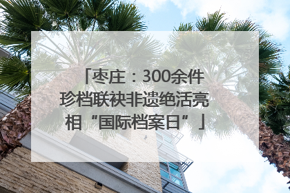 枣庄：300余件珍档联袂非遗绝活亮相“国际档案日”