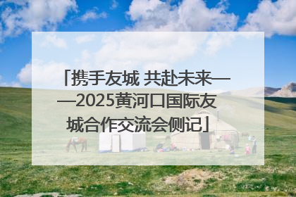 携手友城 共赴未来——2025黄河口国际友城合作交流会侧记