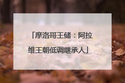 摩洛哥王储：阿拉维王朝低调继承人