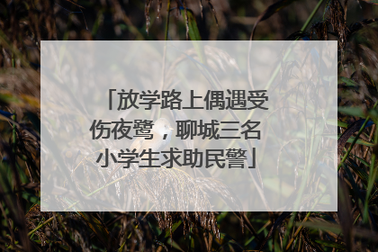 放学路上偶遇受伤夜鹭，聊城三名小学生求助民警