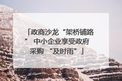 政商沙龙“架桥铺路” 中小企业享受政府采购 “及时雨”