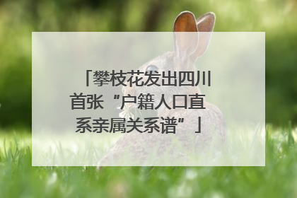 攀枝花发出四川首张“户籍人口直系亲属关系谱”