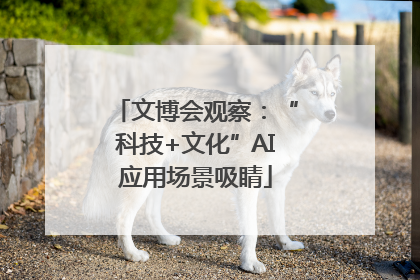 文博会观察：“科技+文化”AI应用场景吸睛