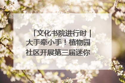 文化书院进行时｜大手牵小手！植物园社区开展第三届迷你马拉松活动