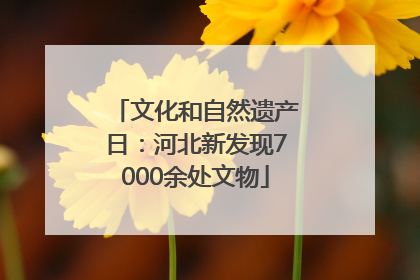 文化和自然遗产日：河北新发现7000余处文物