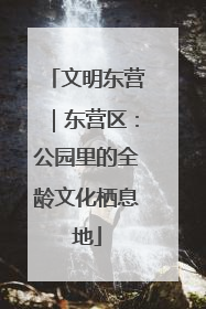 文明东营｜东营区：公园里的全龄文化栖息地