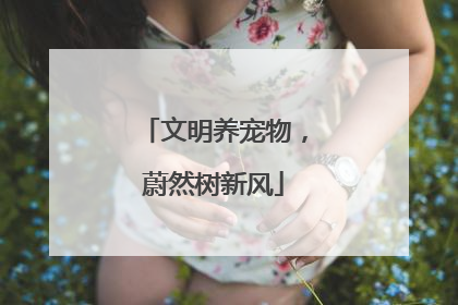 文明养宠物，蔚然树新风