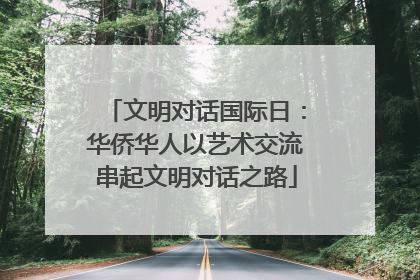 文明对话国际日：华侨华人以艺术交流串起文明对话之路