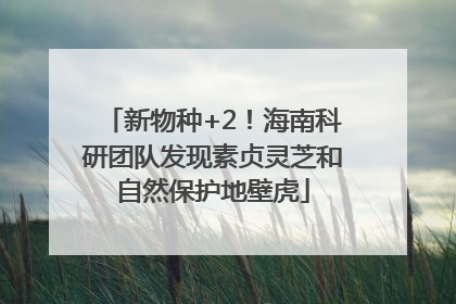 新物种+2！海南科研团队发现素贞灵芝和自然保护地壁虎