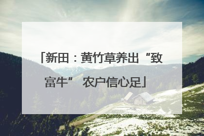 新田：黄竹草养出“致富牛” 农户信心足