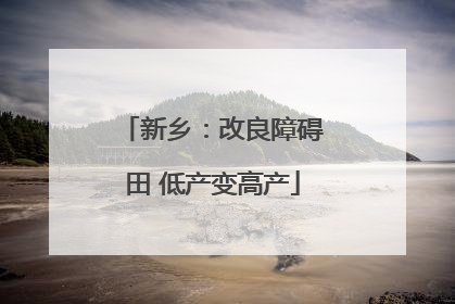 新乡：改良障碍田 低产变高产