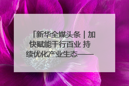 新华全媒头条｜加快赋能千行百业 持续优化产业生态——浙江推动人工智能健康有序发展观察