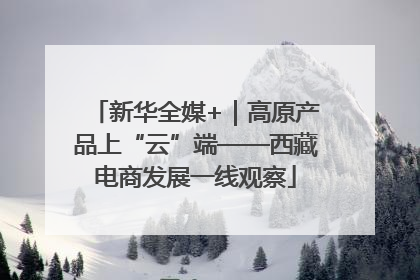 新华全媒+｜高原产品上“云”端——西藏电商发展一线观察
