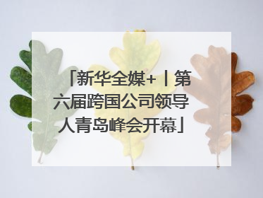 新华全媒+丨第六届跨国公司领导人青岛峰会开幕