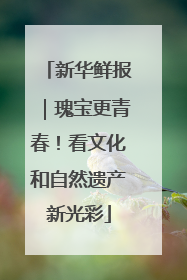 新华鲜报｜瑰宝更青春！看文化和自然遗产新光彩