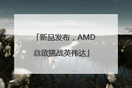 新品发布，AMD意欲挑战英伟达