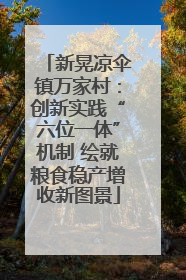 新晃凉伞镇万家村：创新实践“六位一体”机制 绘就粮食稳产增收新图景
