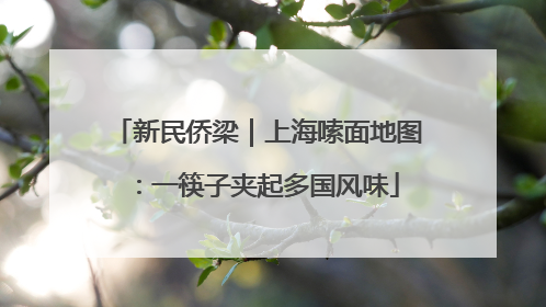 新民侨梁｜上海嗦面地图：一筷子夹起多国风味
