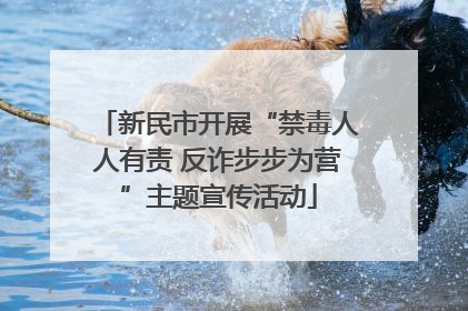 新民市开展“禁毒人人有责 反诈步步为营”主题宣传活动