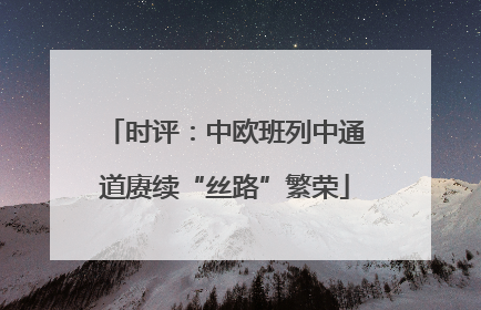 时评：中欧班列中通道赓续“丝路”繁荣