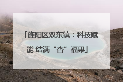 旌阳区双东镇：科技赋能 结满“杏”福果