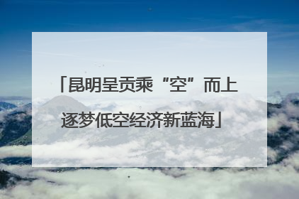 昆明呈贡乘“空”而上 逐梦低空经济新蓝海