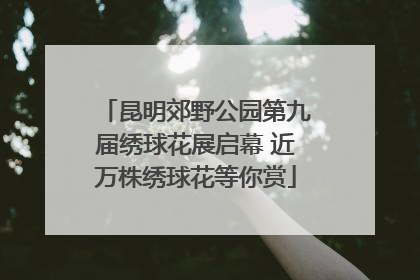 昆明郊野公园第九届绣球花展启幕 近万株绣球花等你赏