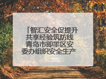 智汇安全促提升 共享经验筑防线 青岛市即墨区安委办组织安全生产共享专家现场观摩学习活动