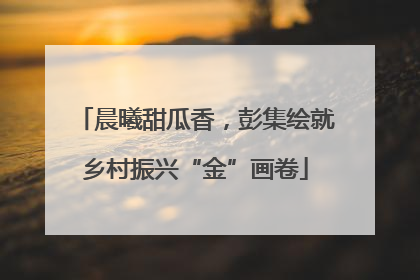 晨曦甜瓜香，彭集绘就乡村振兴“金”画卷