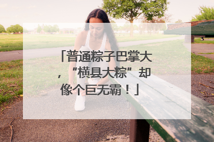 普通粽子巴掌大，“横县大粽”却像个巨无霸！