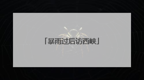 暴雨过后访西峡