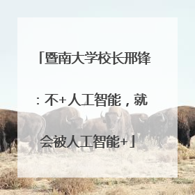 暨南大学校长邢锋：不+人工智能，就会被人工智能+