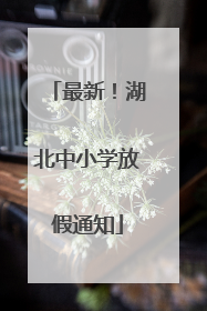 最新！湖北中小学放假通知