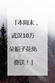 本周末，武汉10万朵栀子花免费送！
