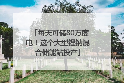 每天可储80万度电！这个大型锂钠混合储能站投产