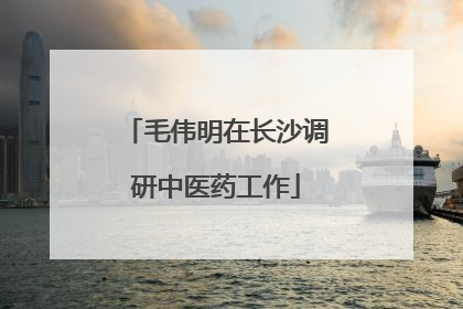 毛伟明在长沙调研中医药工作
