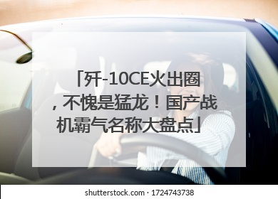 歼-10CE火出圈，不愧是猛龙！国产战机霸气名称大盘点