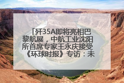 歼35A即将亮相巴黎航展，中航工业沈阳所首席专家王永庆接受《环球时报》专访：未来数量可以有很多
