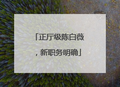 正厅级陈白薇，新职务明确