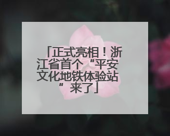 正式亮相！浙江省首个“平安文化地铁体验站”来了