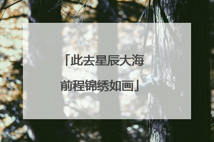 此去星辰大海 前程锦绣如画